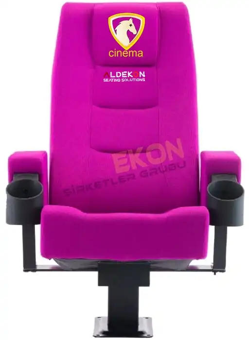 toledo-konferans-sinema-koltugu-51