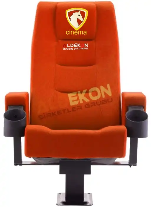 toledo-konferans-sinema-koltugu-52