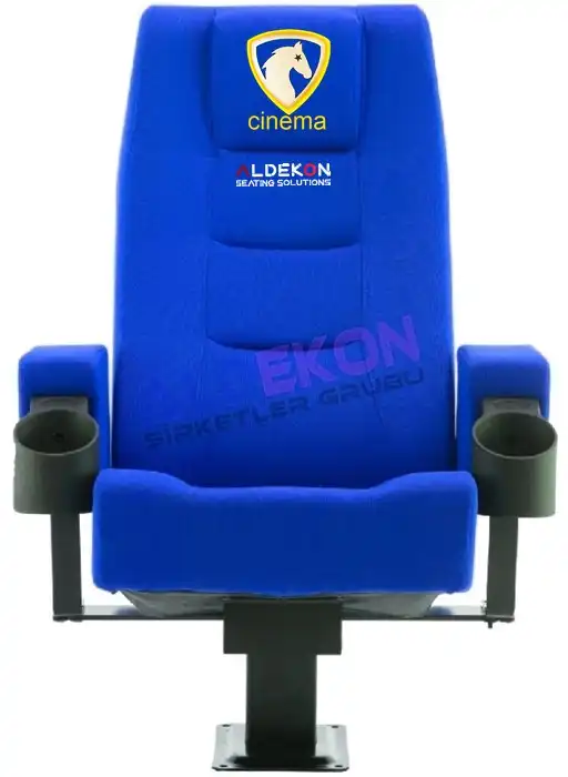 toledo-konferans-sinema-koltugu-55