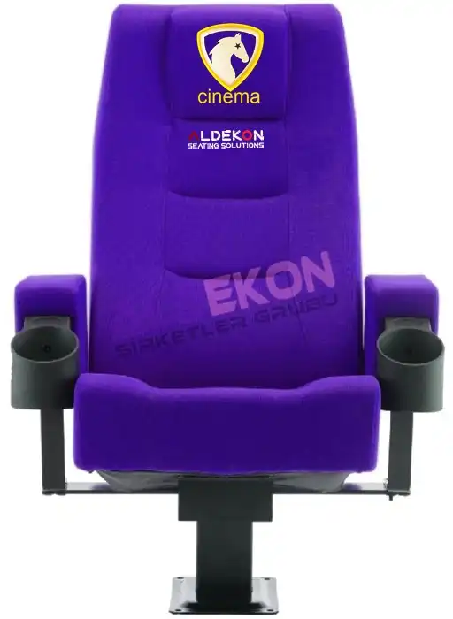 toledo-konferans-sinema-koltugu-56